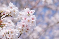 我慢してきた心に、そろそろ向き合うとき